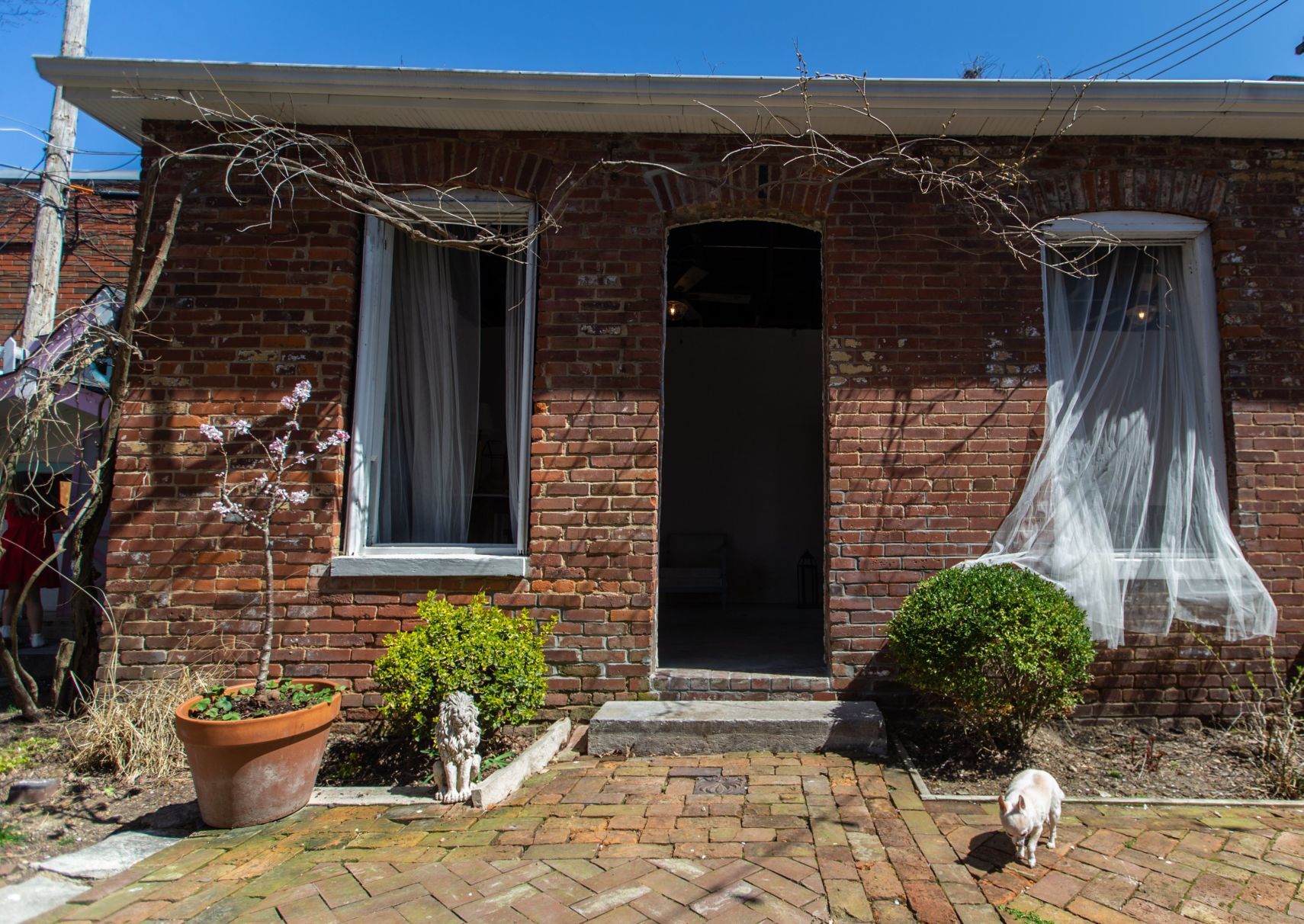 At home in Belleville with the Haniszewskis